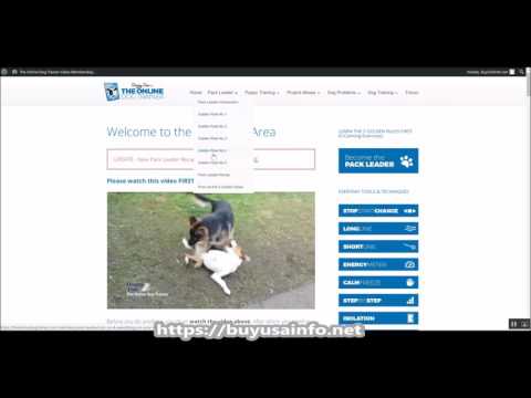 Doggy Dan&#039;s The Online Dog Trainer Review - Sneak Preview!
