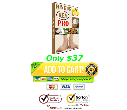 Download Wu Chang's Fungus Key Pro PDF