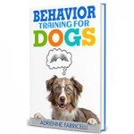 Brain Training For Dogs PDF