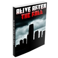 Alive After The Fall PDF